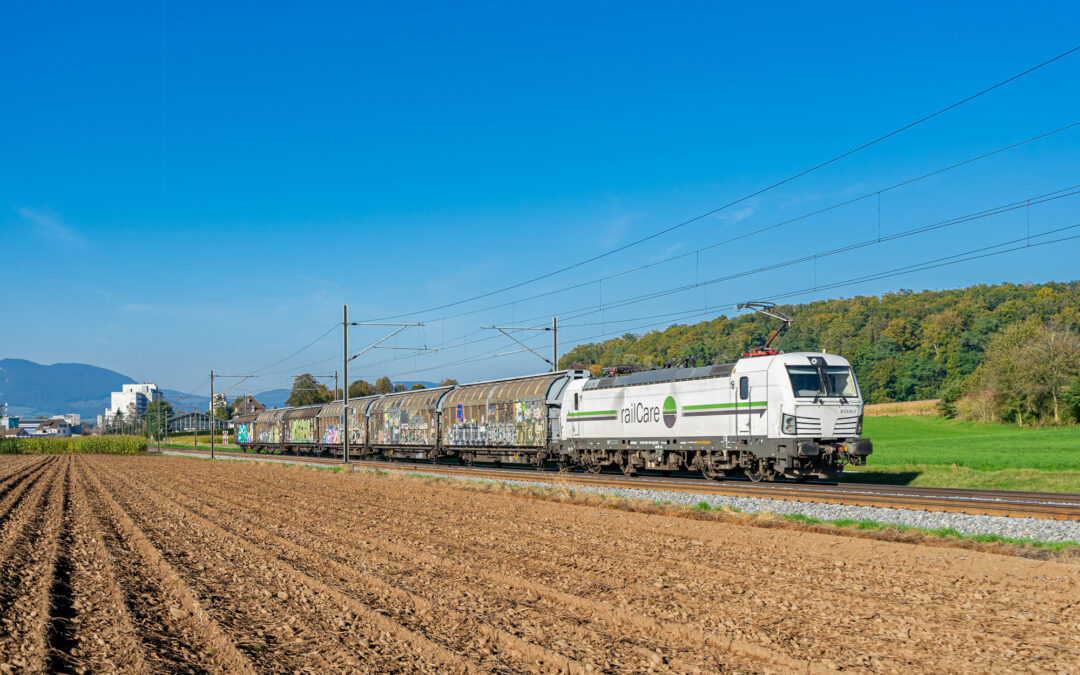 Rail freight transport in the territory: the industry develops a joint solution