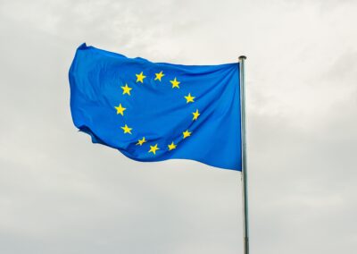 EU aid: walking a tightrope between protecting the climate and distorting competition